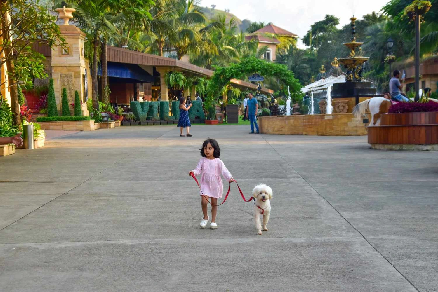 The Luxury Pet-cation – Why Della Resorts Doesn’t Just Allow Pets, It Pampers Them