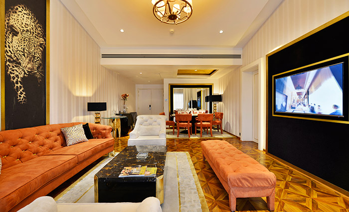 uber luxurious living room area