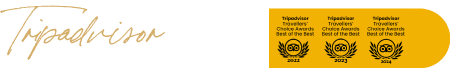 Mobile Logo