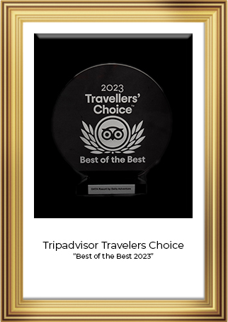 Tripadvisor award 2023